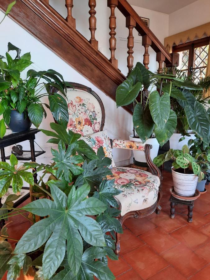 Soutariba Bed & Breakfast Roquebrune-Cap-Martin Exterior foto